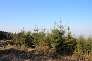 … und Blick nach Nordwesten