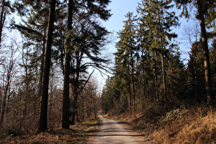 Kammweg zwischen Hirschköpfen und Bröhn, Blick nach Nordwesten …