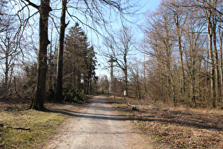 Blick zum Annaturm auf dem Bröhn