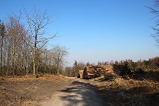 Hohe Warte, Blick nach Nordosten