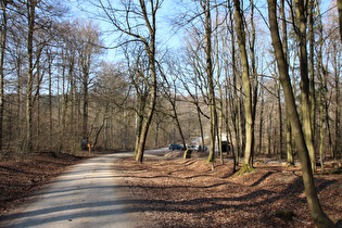 weiter unten, Blick zum Nienstedter Pass