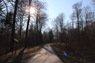 zwischen Nienstedter Pass und Reinekensiekskopf, Blick nach Westen