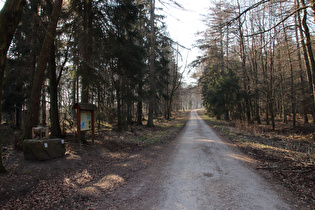 weiter oben, der „Schweden-Findling“