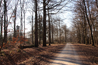 Blick zum Nordmannsturm auf dem Reinekensiekskopf