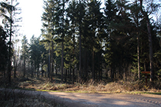 Kammweg zwischen Reinekensiekskopf und Alte Taufe, Blick nach Westen