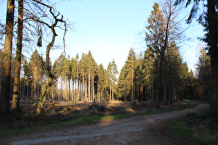 Kammweg, oberes Ende der Abfahrt nach Barsinghausen