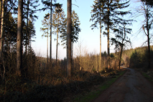 unterhalb der Bossquelle, Blick nach Nordosten