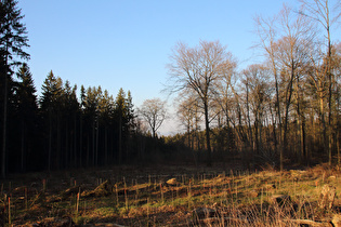 weiter unten, Blick nach Nordosten