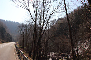 Blick talaufwärts über die Oker zur Adlerklippe