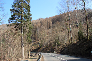 Blick zum Großen Treppenstein