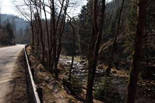 die Oker zwischen Ausgleichsbecken und Romkerhalle, Blick flussaufwärts