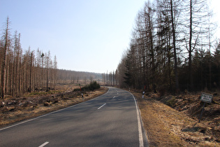 L504 auf 600 m ü.NHN, Blick bergauf