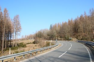 L504, Blick bergauf in eine S-Kurve