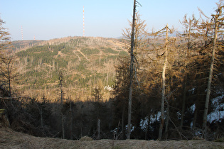 Blick auf die Lärchenköpfe bei Torfhaus