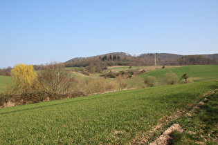 zwischen Hastenbeck und Vorembeck, Blick auf den Schecken