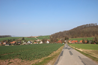 zwischen Völkerhausen und Börryer Genossenschaftsforst, Blick auf Völkerhausen