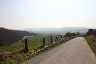 Börryer Genossenschaftsforst, Südhang, Blick nach Süden