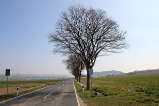 zwischen Börry und Heyen, Grenze zwischen den Landkreisen Hameln-Pyrmont und Holzminden