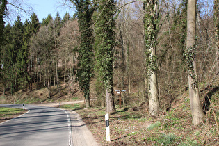 in der Abfahrt nach Bodenwerder