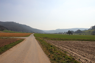 Weserradweg zwischen Bodenwerder und Rühle, Blick zur Rühler Schweiz …