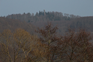 Zoom auf den Ebersnackenturm