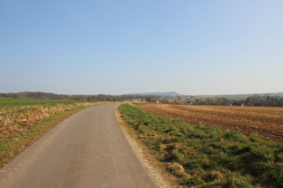 zwischen Golmbach und Negenborn, Blick zum Holzberg …