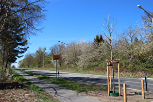 Westrand von Hannover, Blick nach Westen