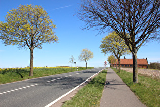 Blick auf Kollrothshöhe