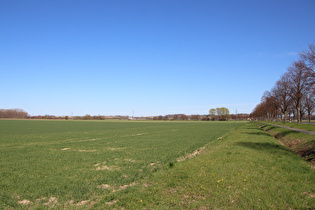 westlich von Nordgoltern, Blick zum Stemmer Berg …