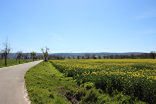 … und Blick zum Deister
