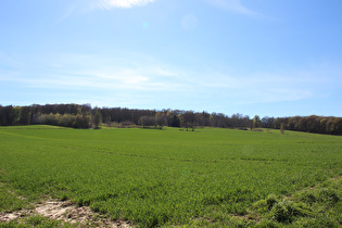 zwischen Hohenbostel und Luttringhausen, Blick zum Deister, …