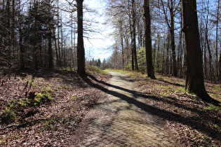 schlechter Weg zur Rodenberger Höhe