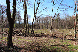 weiter oben, Blick nach Nordwesten