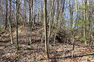 ein Wall der Heisterburg