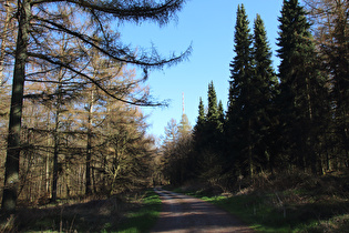 Kammweg zwischen Kreuzbuche und Großem Hals, Blick nach Südosten