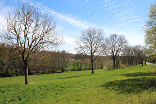 der Rössingbach im Tal zwischen Sorsum und Schafweide, Blick talaufwärts …