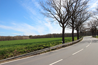 zwischen Diekholzen und Sibbesse, Blick zum Griesberg …