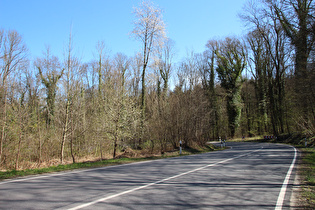 oberhalb der zweiten Kehre, Blick bergab …