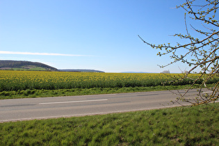 … und Blick nach Nordosten, rechts am Horizont Osterwald und Kleiner Deister