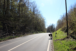 „Dach der Tour“: Wernershöhe / L485; Blick nach Südwesten …