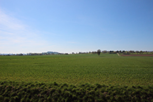 … und Blick zum Sülbecker Berg