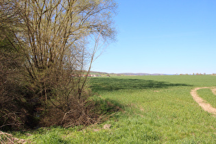 die Rotte, Blick flussaufwärts Richtung Dassensen …