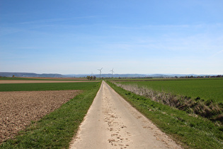 … und Blick Richtung Harz