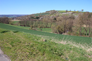 zwischen Krimmensen und Dassel, Blick auf Ilme und Bierberg