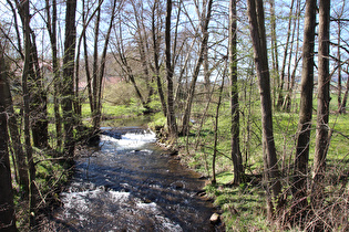 die Ilme in Dassel, Blick flussaufwärts …