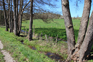 die Bremke oberhalb von Dassel, Blick flussaufwärts