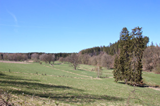 die Seutebornwiese mit der Bremke