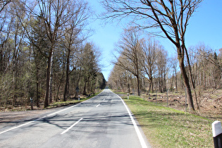 die L549 knapp oberhalb der Erholungsheims, Blick bergauf