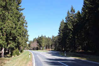 oberhalb von Torfhaus ein Anblick wie früher im Harz