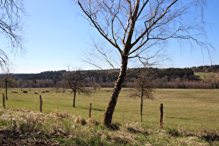 Blick von Silberborn über das Tal der Holzminde nach Westen